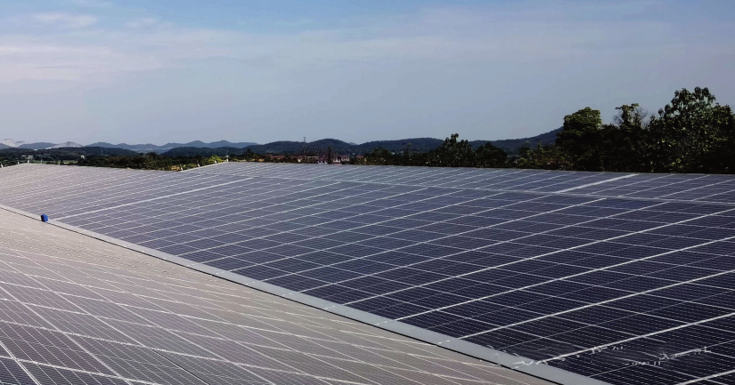 ½ðɳ³Çjs93Ïß·¼ì²âÖÐÐÄ